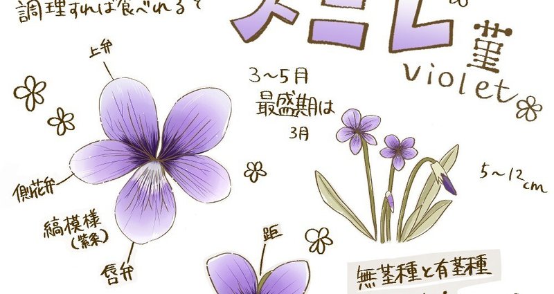 花言葉のお話 お花イラスト たちばな もも 漫画 イラスト カメラ デザイン 音楽 Note