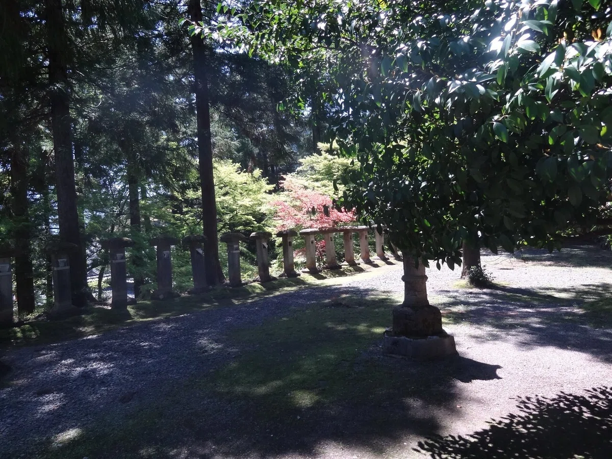 画像4