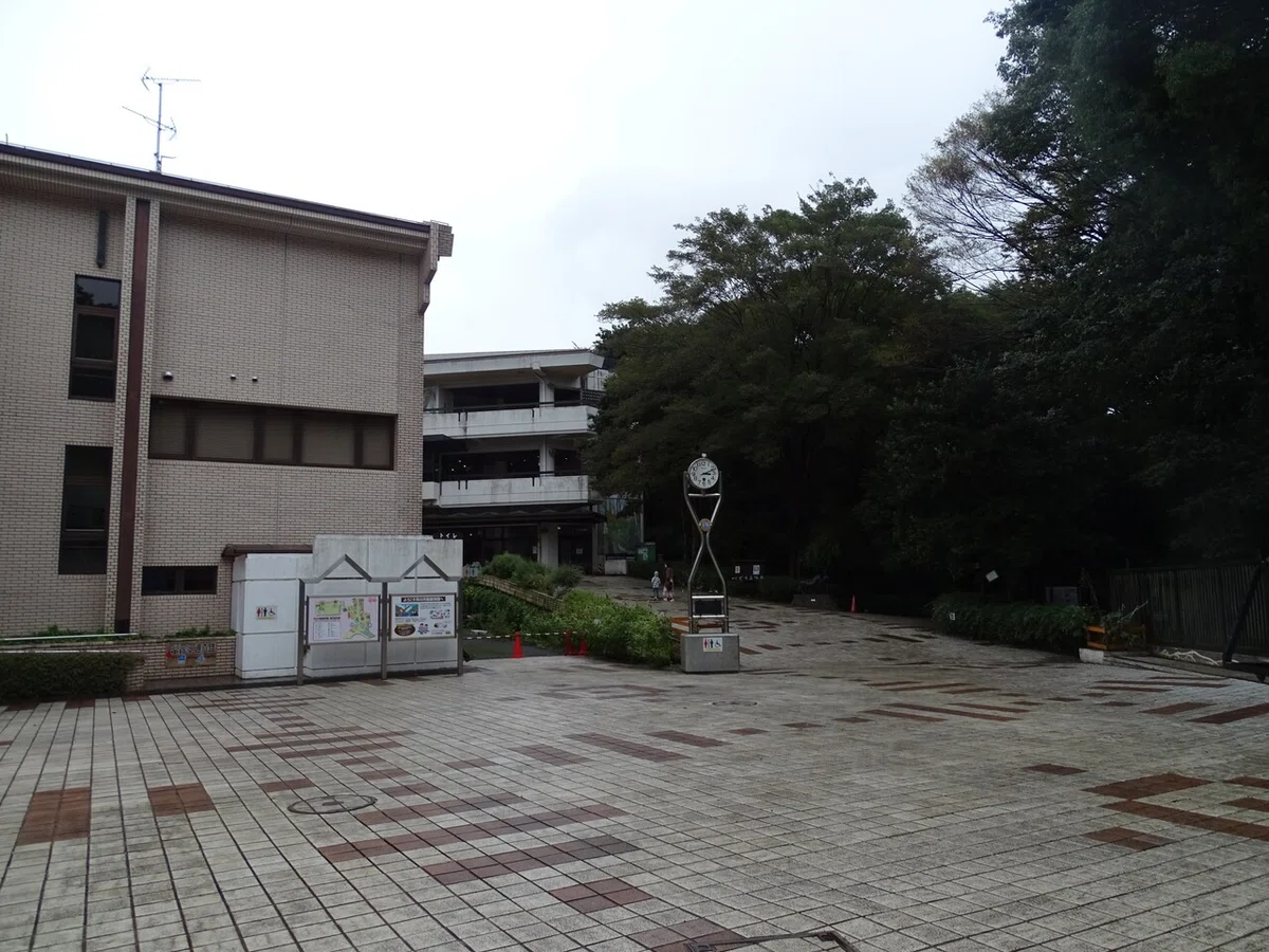 画像19