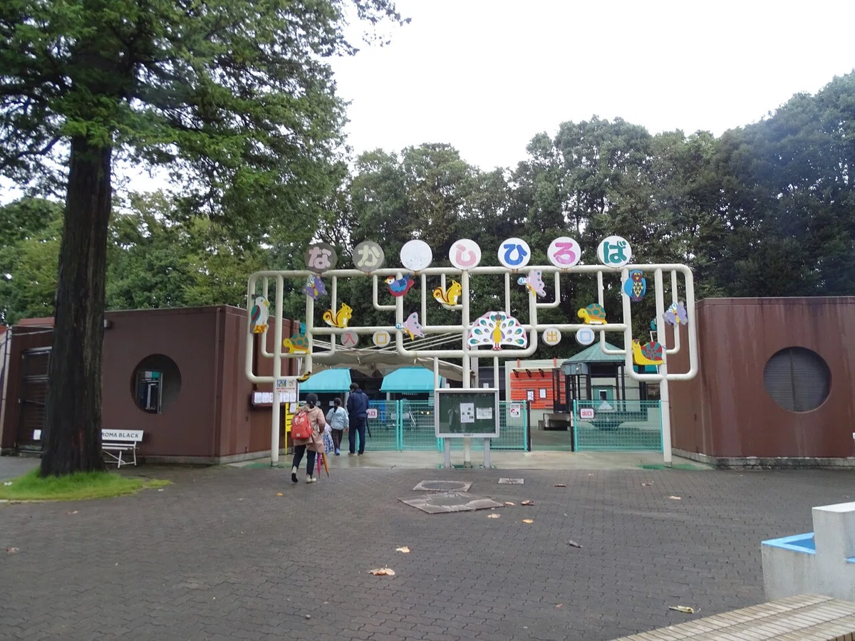 画像28