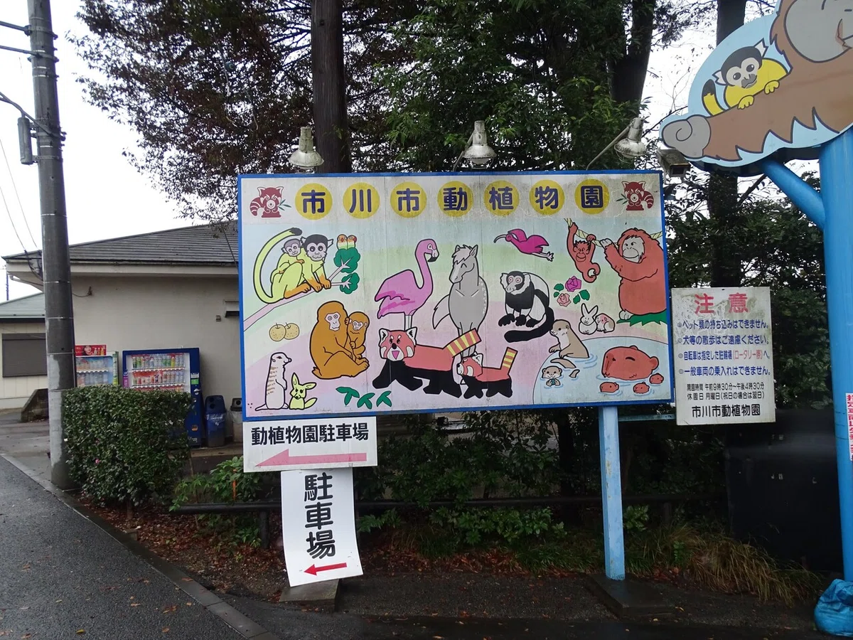 画像9