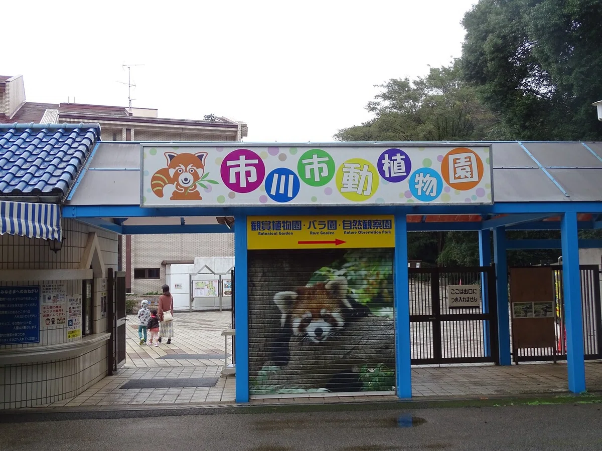 画像13