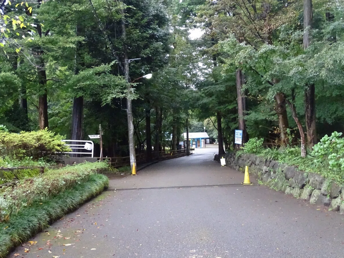 画像10