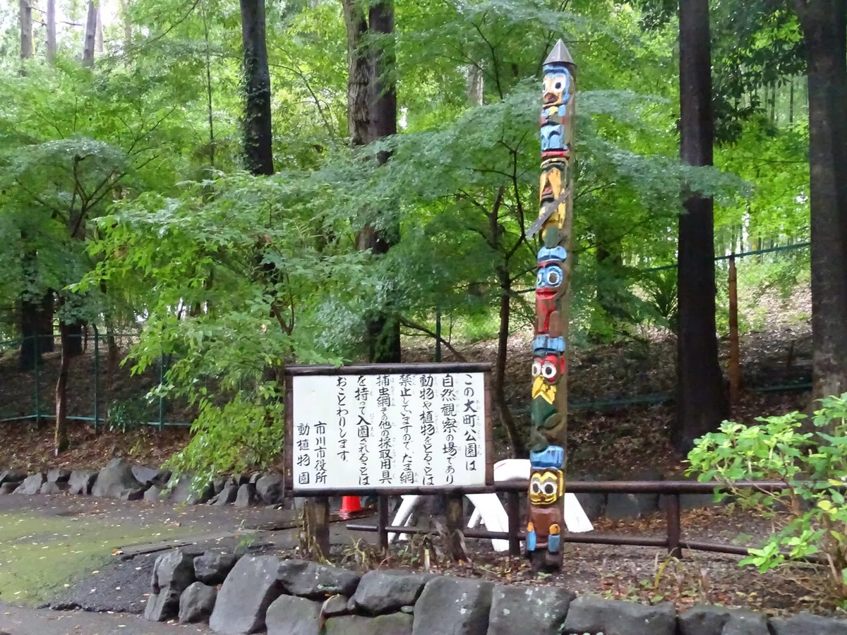 画像11
