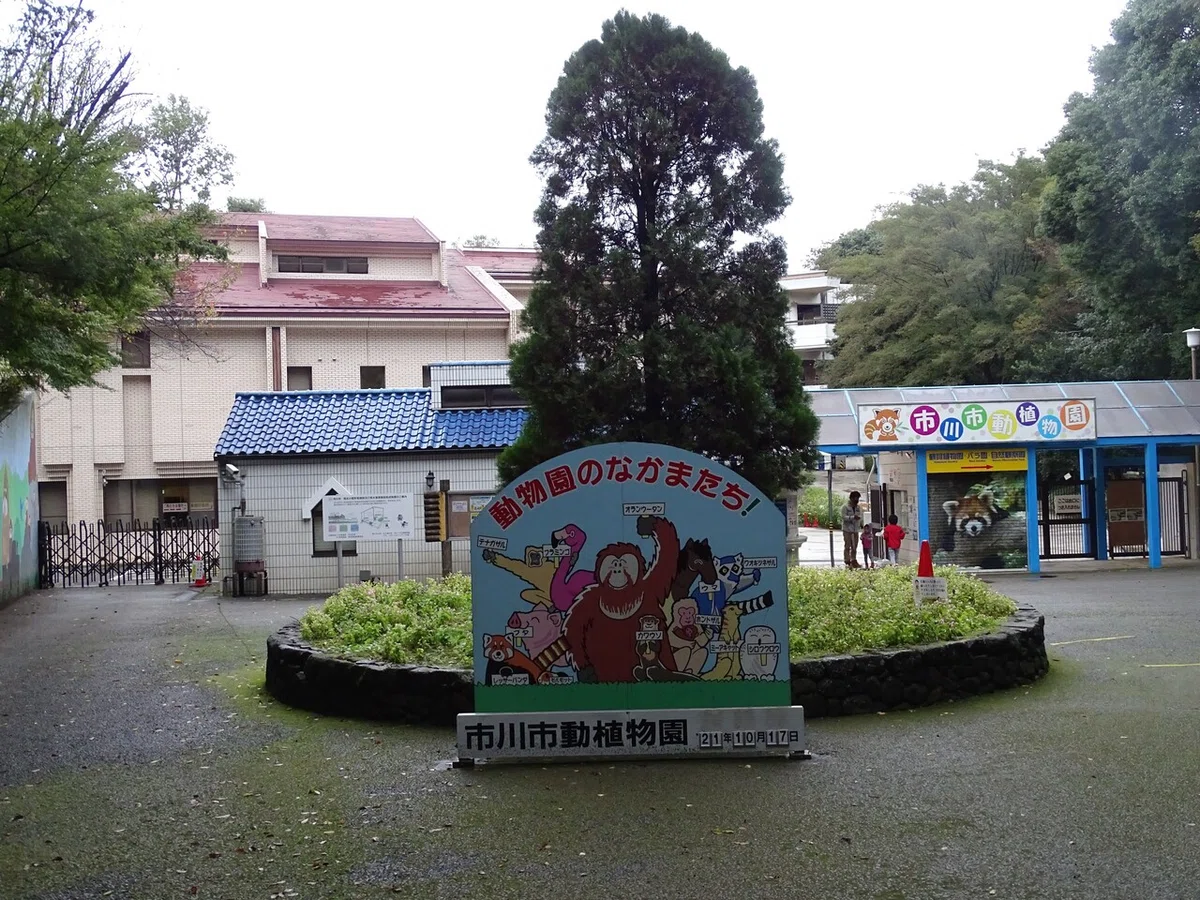 画像12