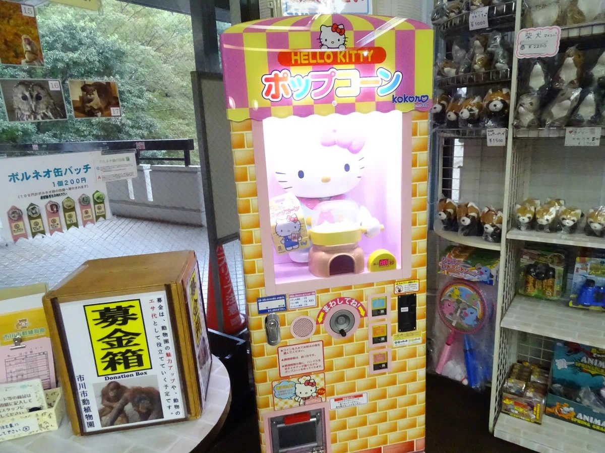 画像27