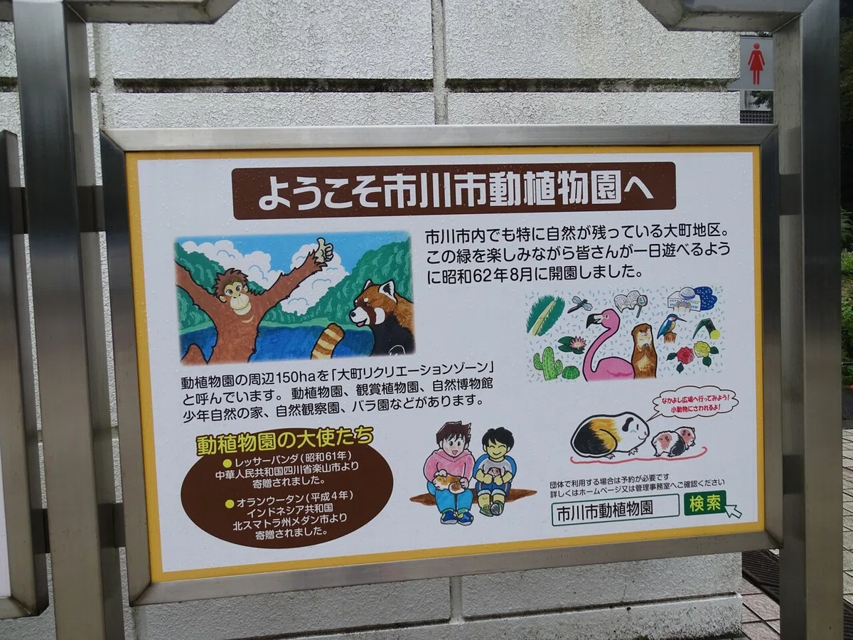 画像21