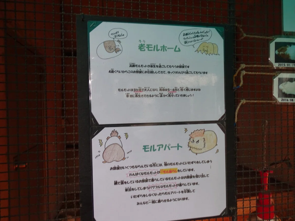 画像37