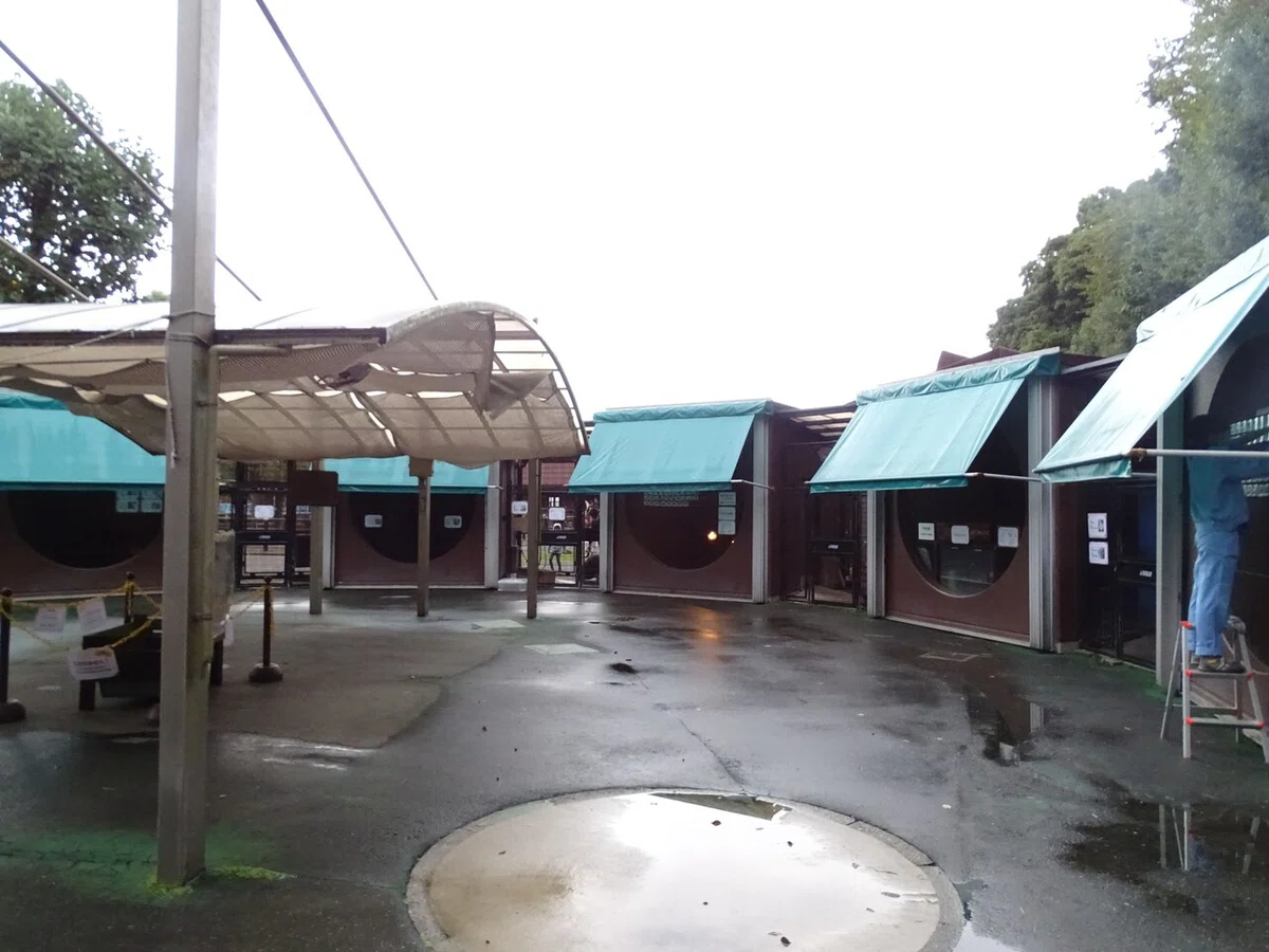 画像46