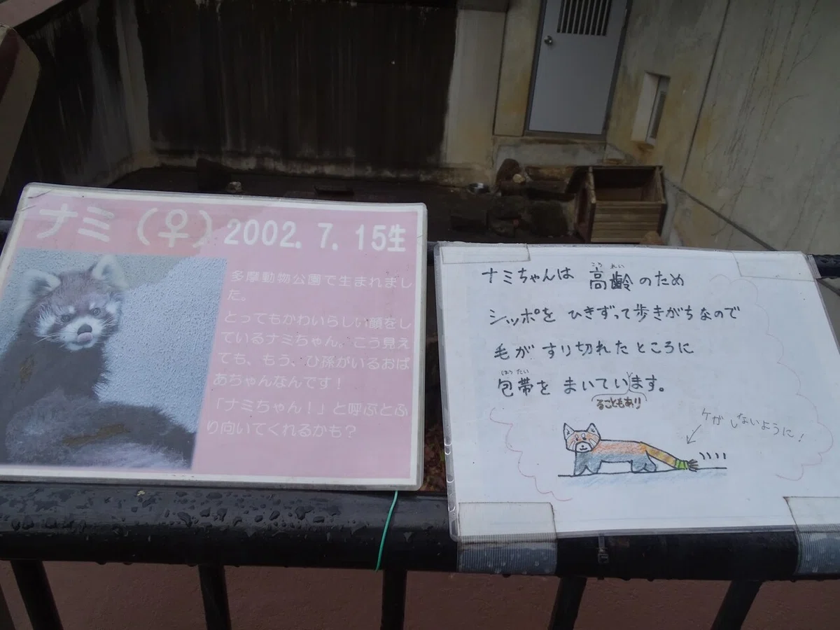 画像96