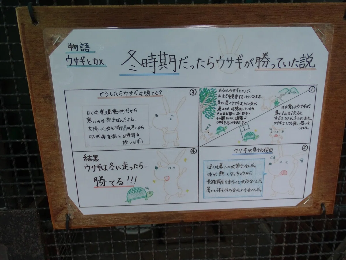 画像50