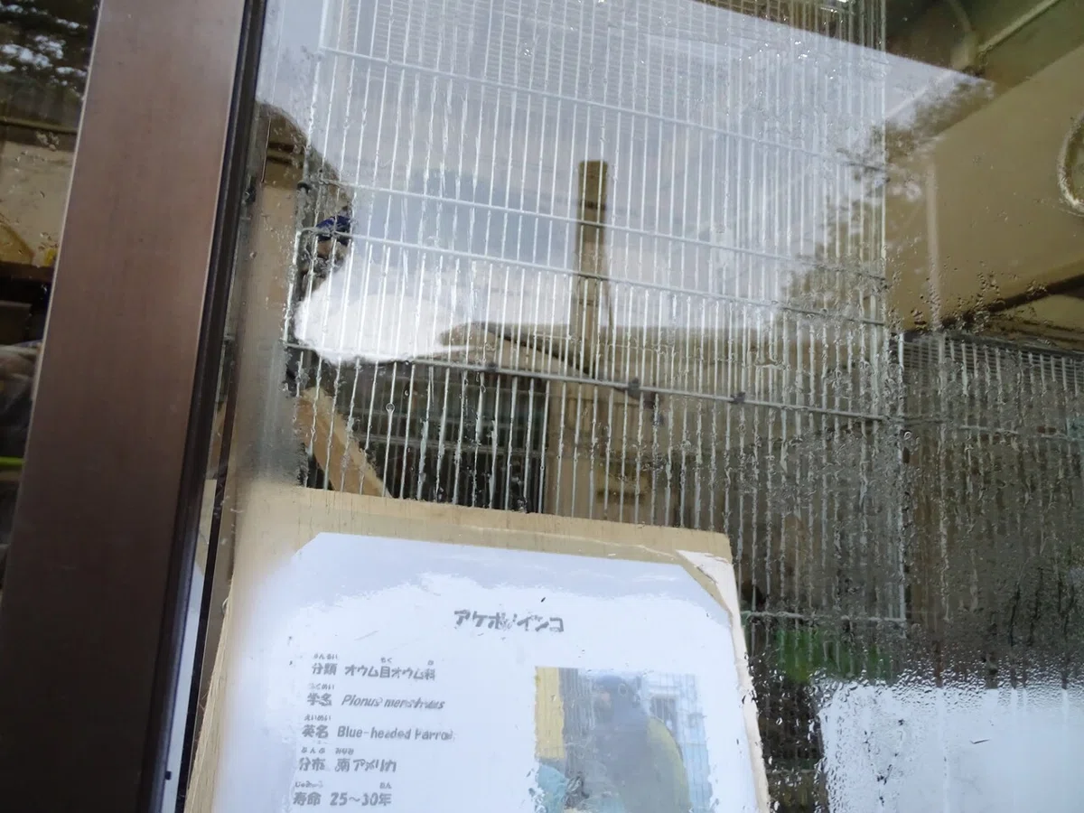 画像44
