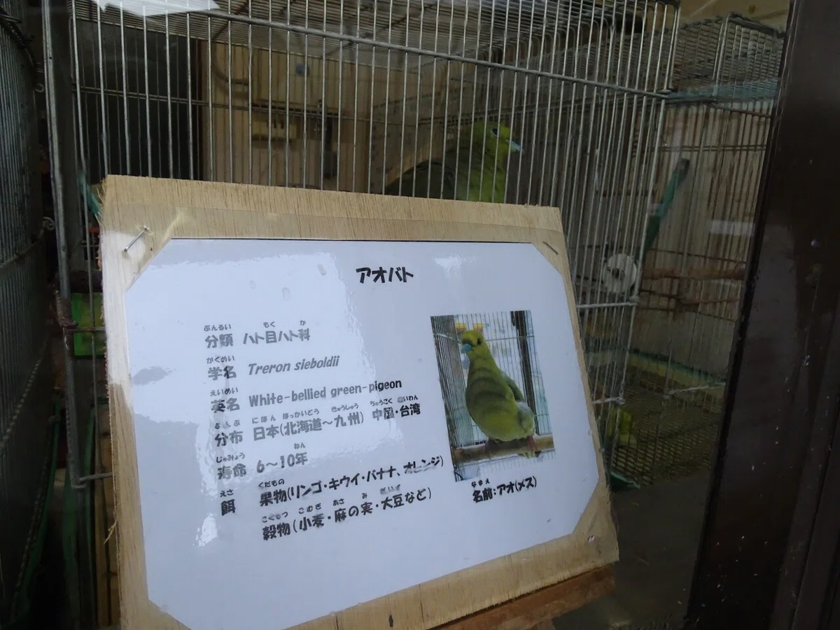画像43