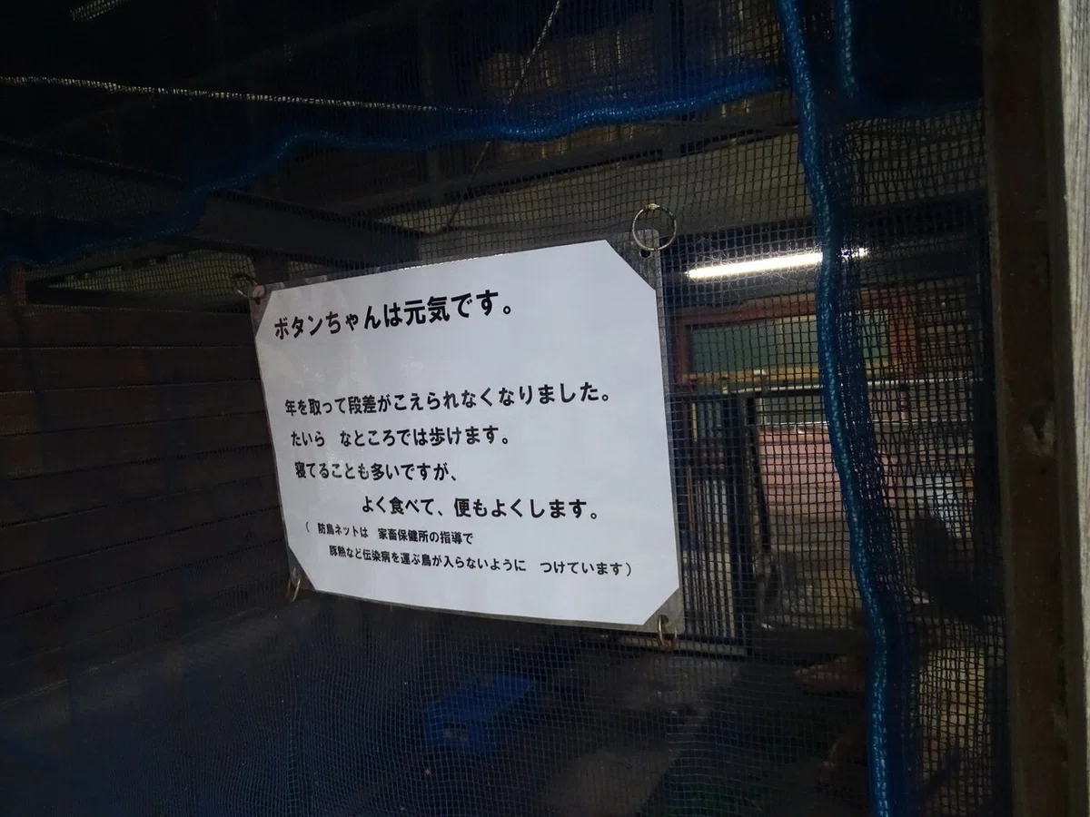 画像65