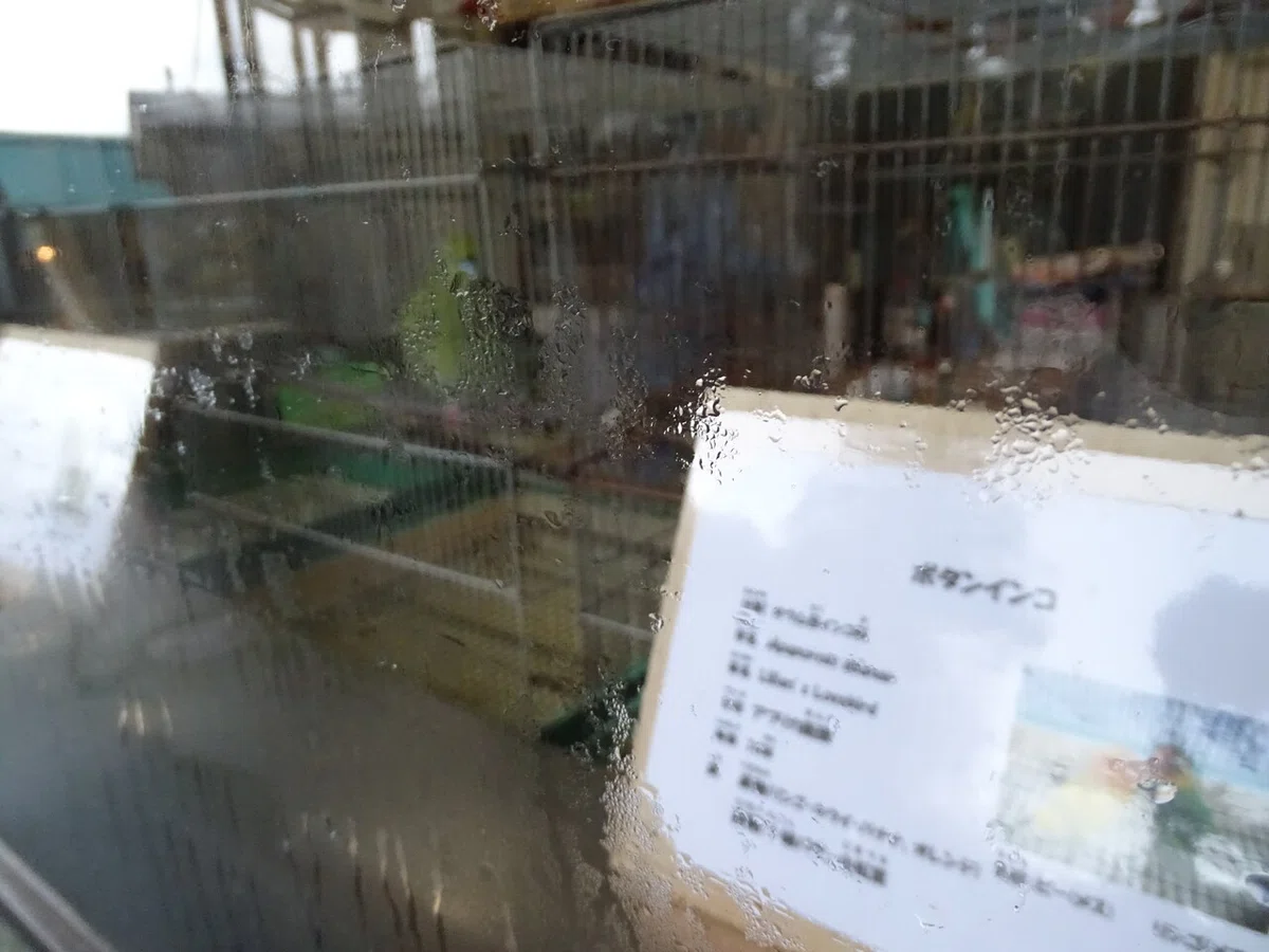 画像42