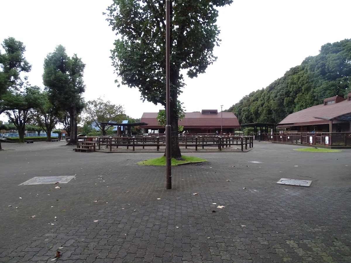 画像62