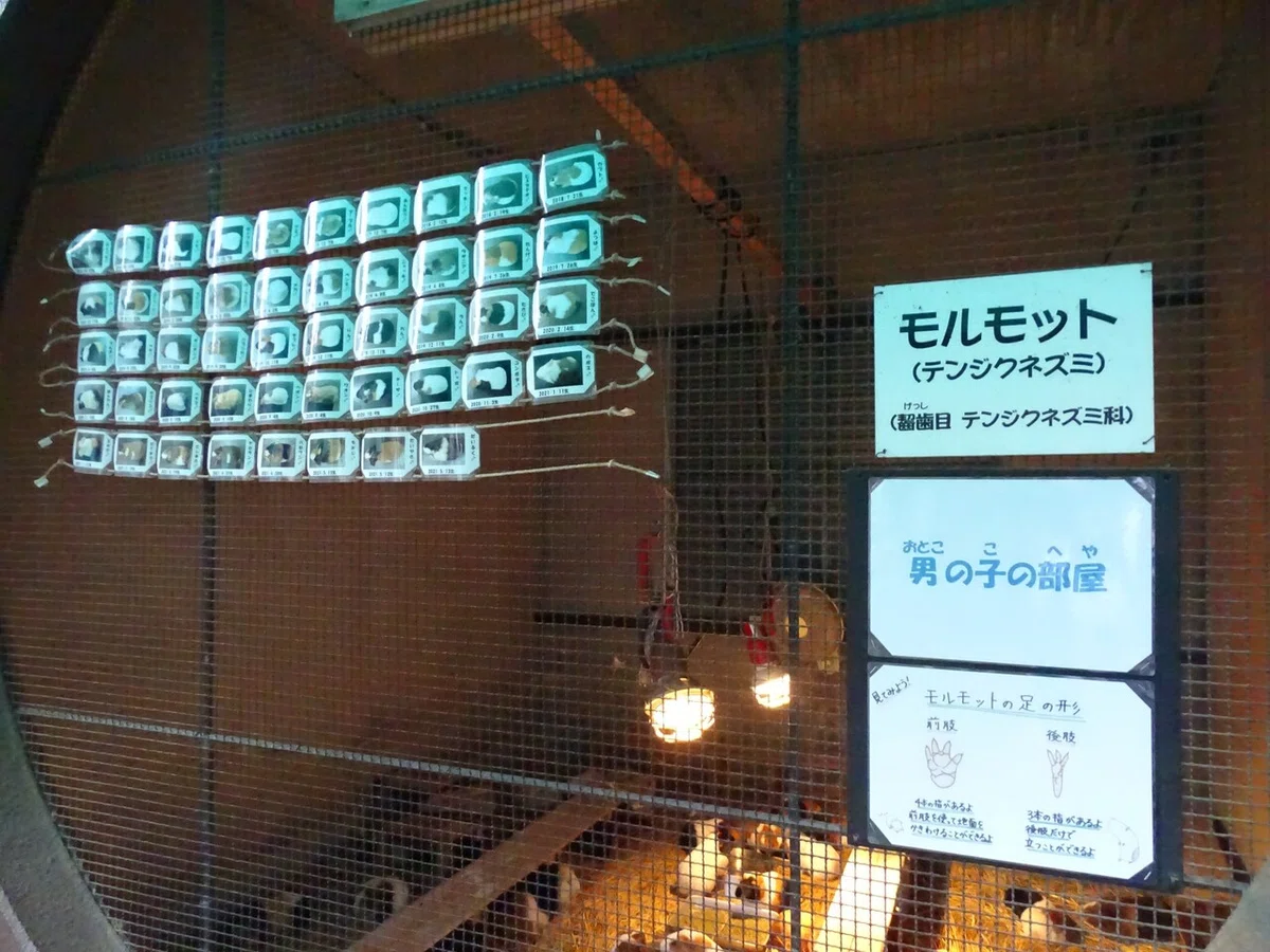 画像51