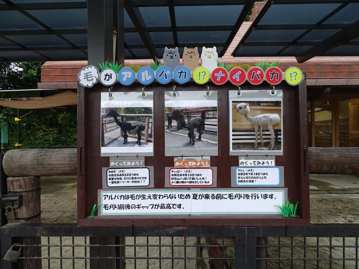 画像77