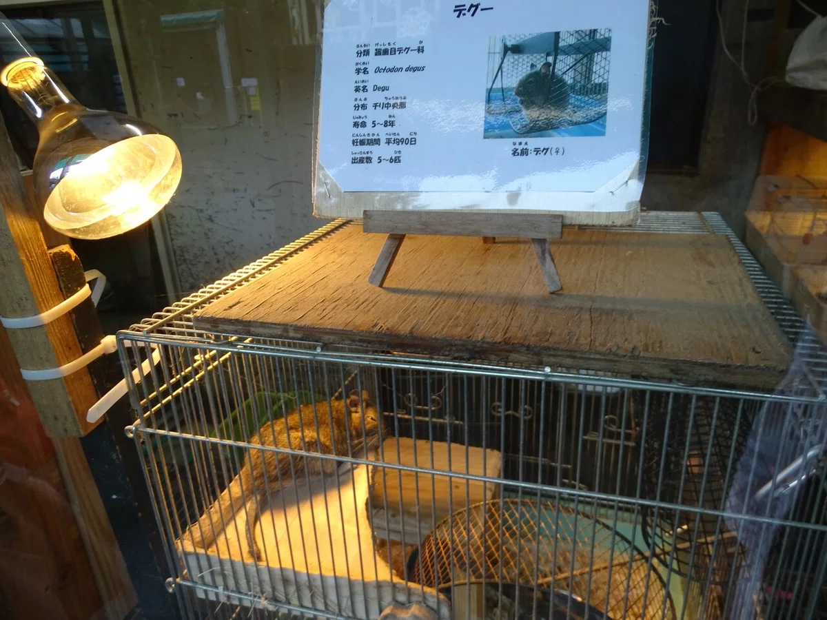 画像38