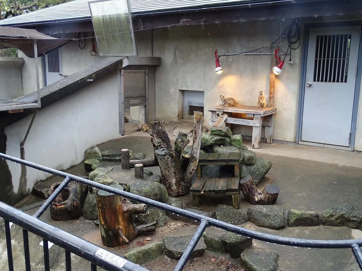 画像30