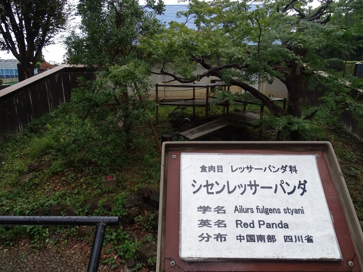 画像89