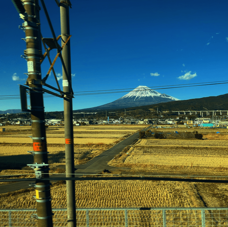 畠と富士山。