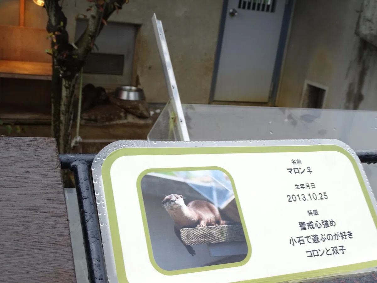 画像101