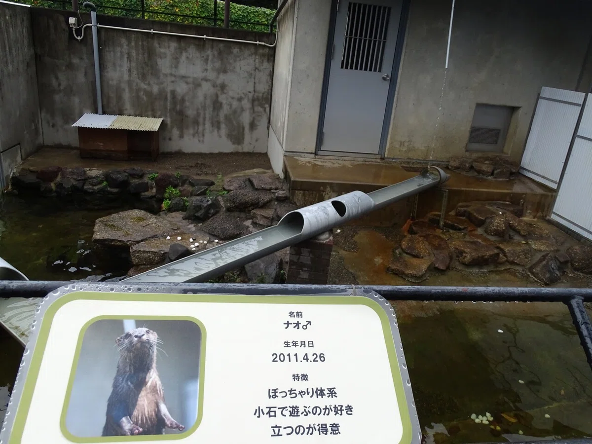 画像102