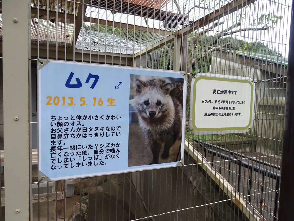 画像79