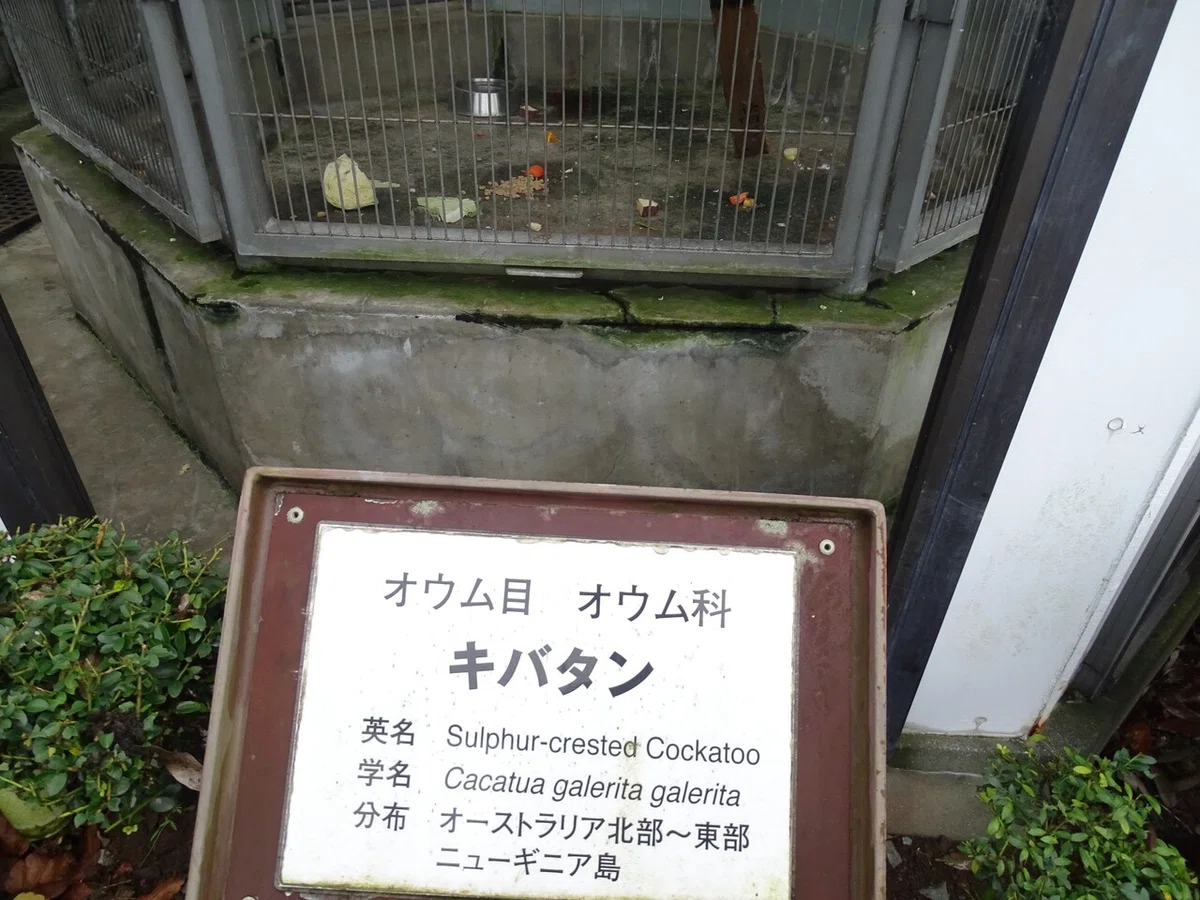 画像107