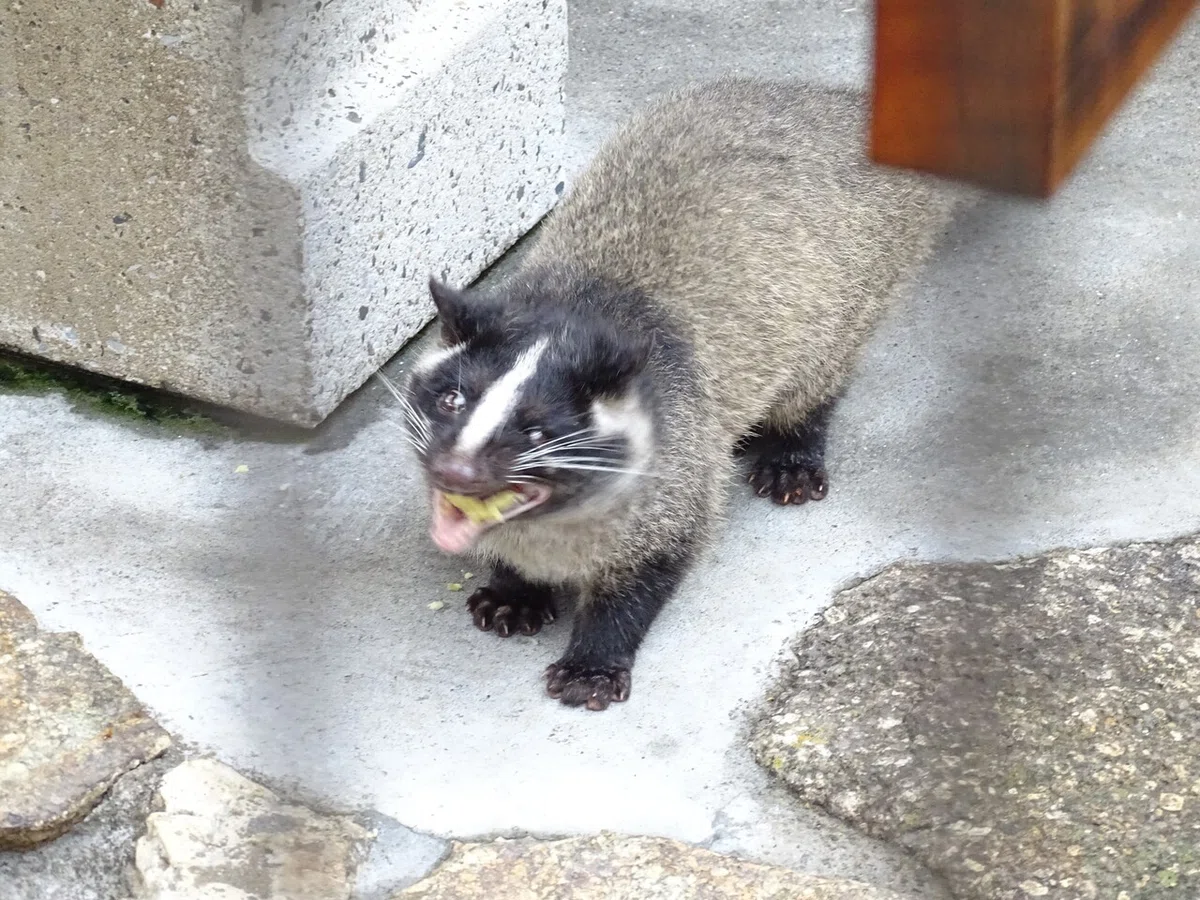 画像83