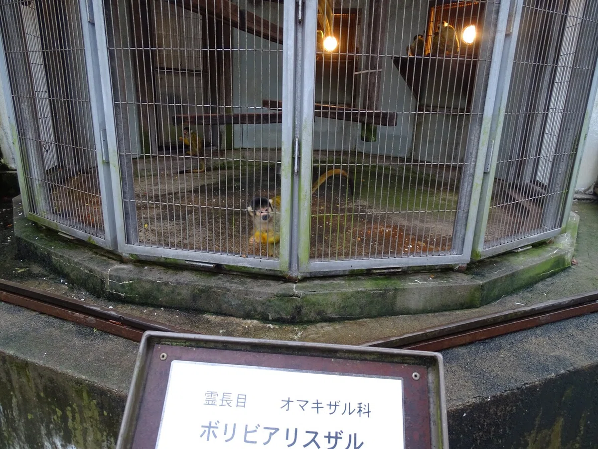 画像133