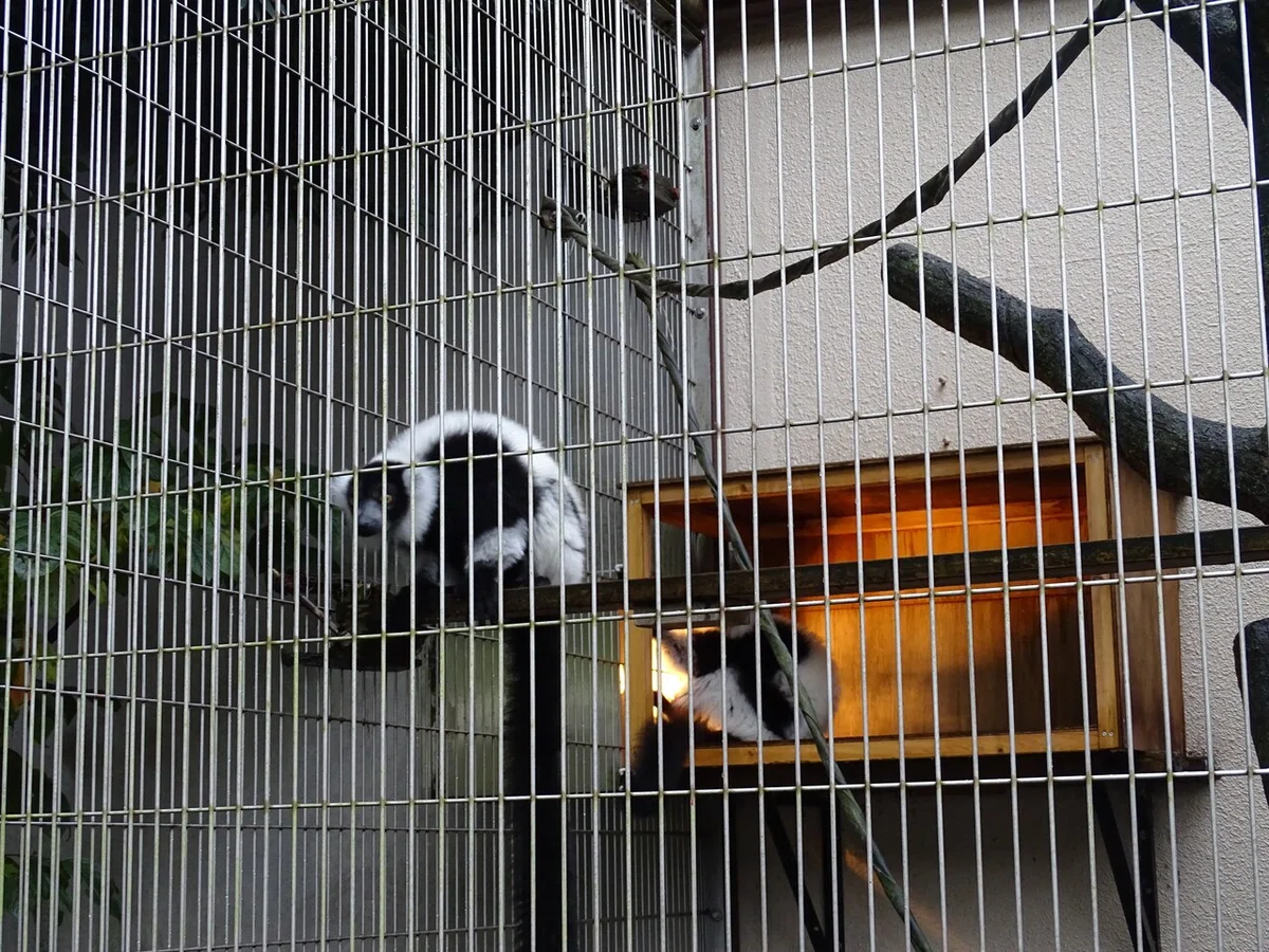画像77