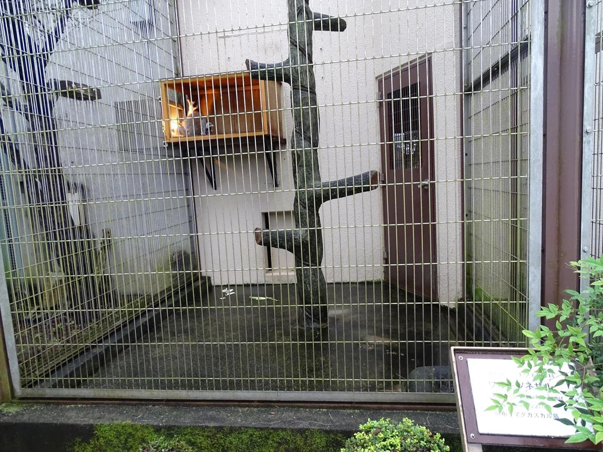 画像125