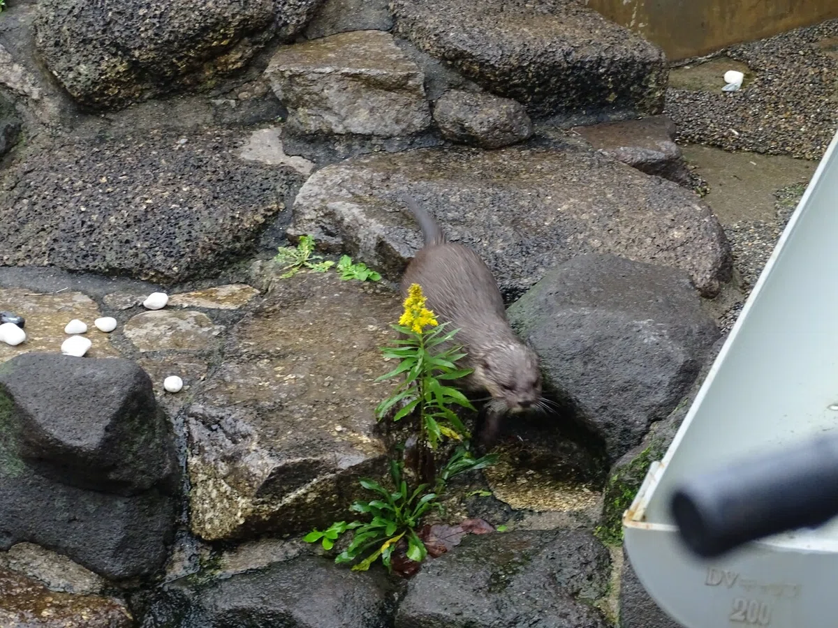 画像104
