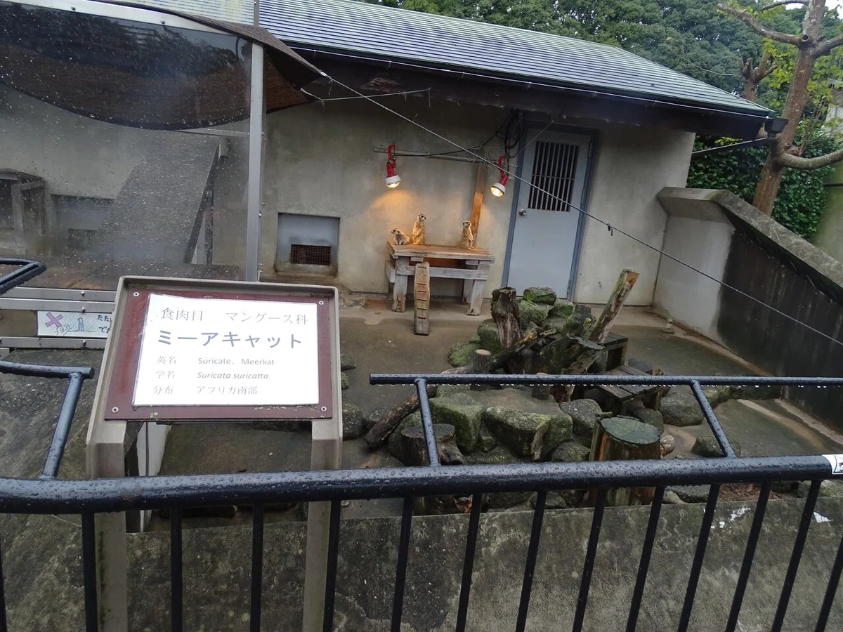 画像78