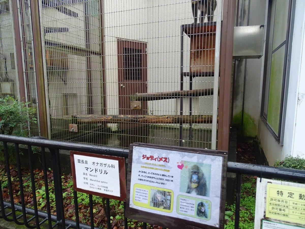 画像120