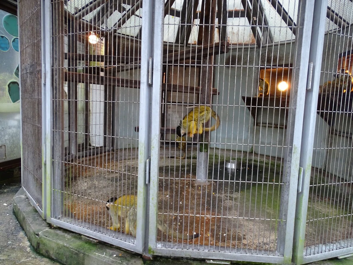 画像132