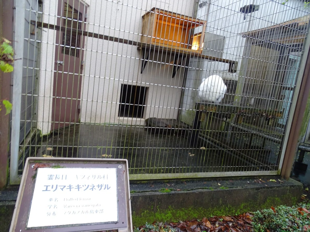 画像135