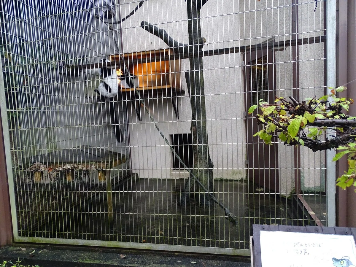 画像139
