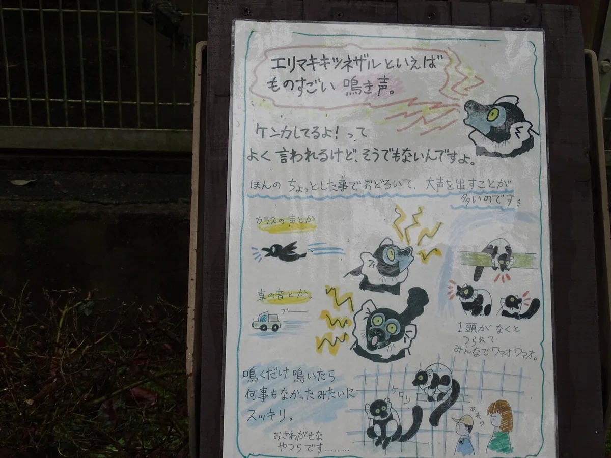 画像122