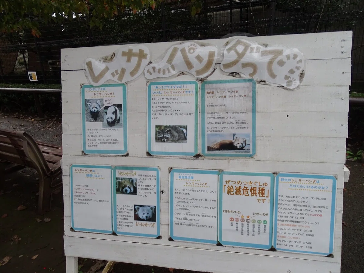 画像161