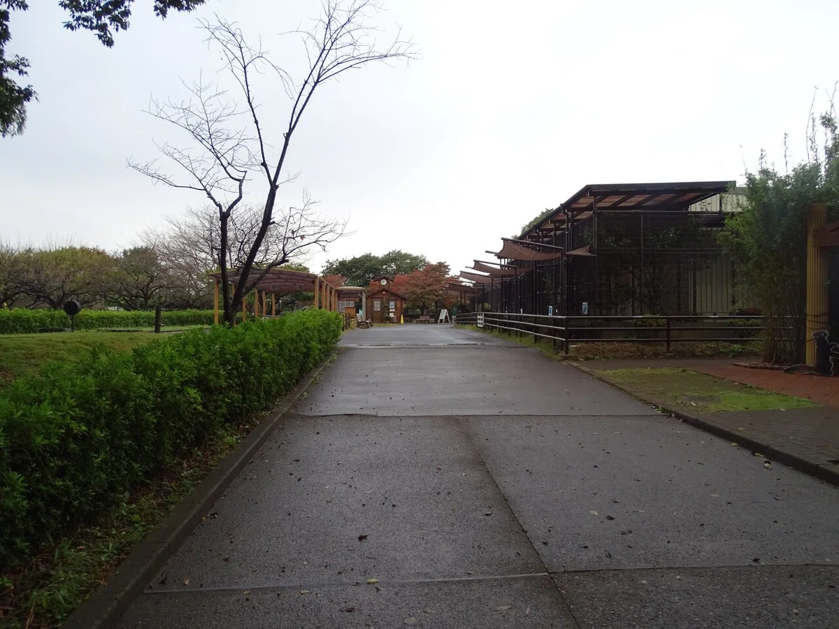 画像149