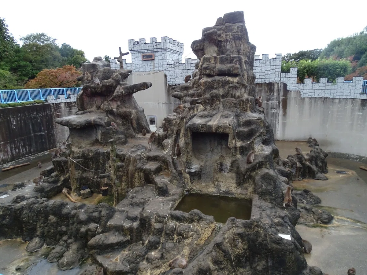 画像136