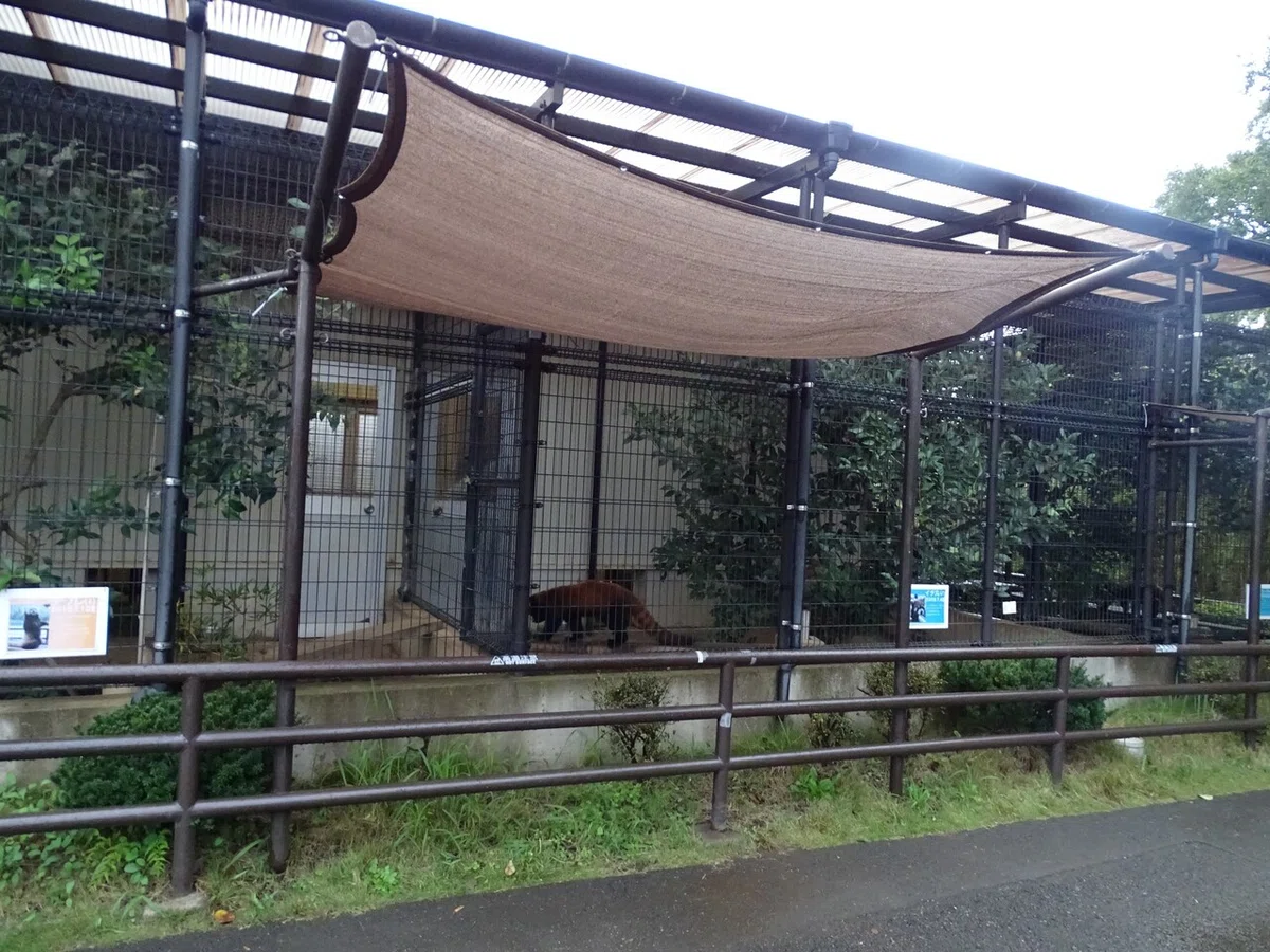画像154