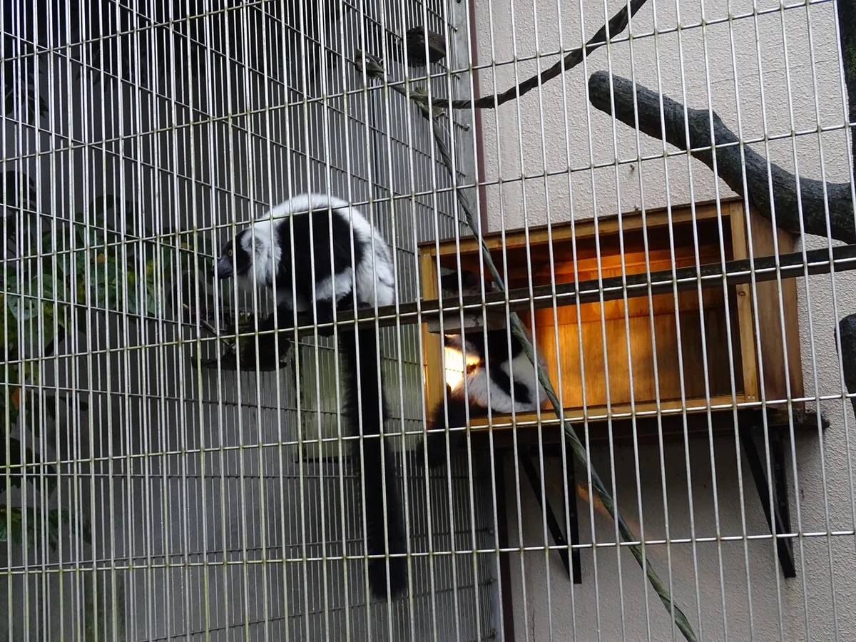 画像121