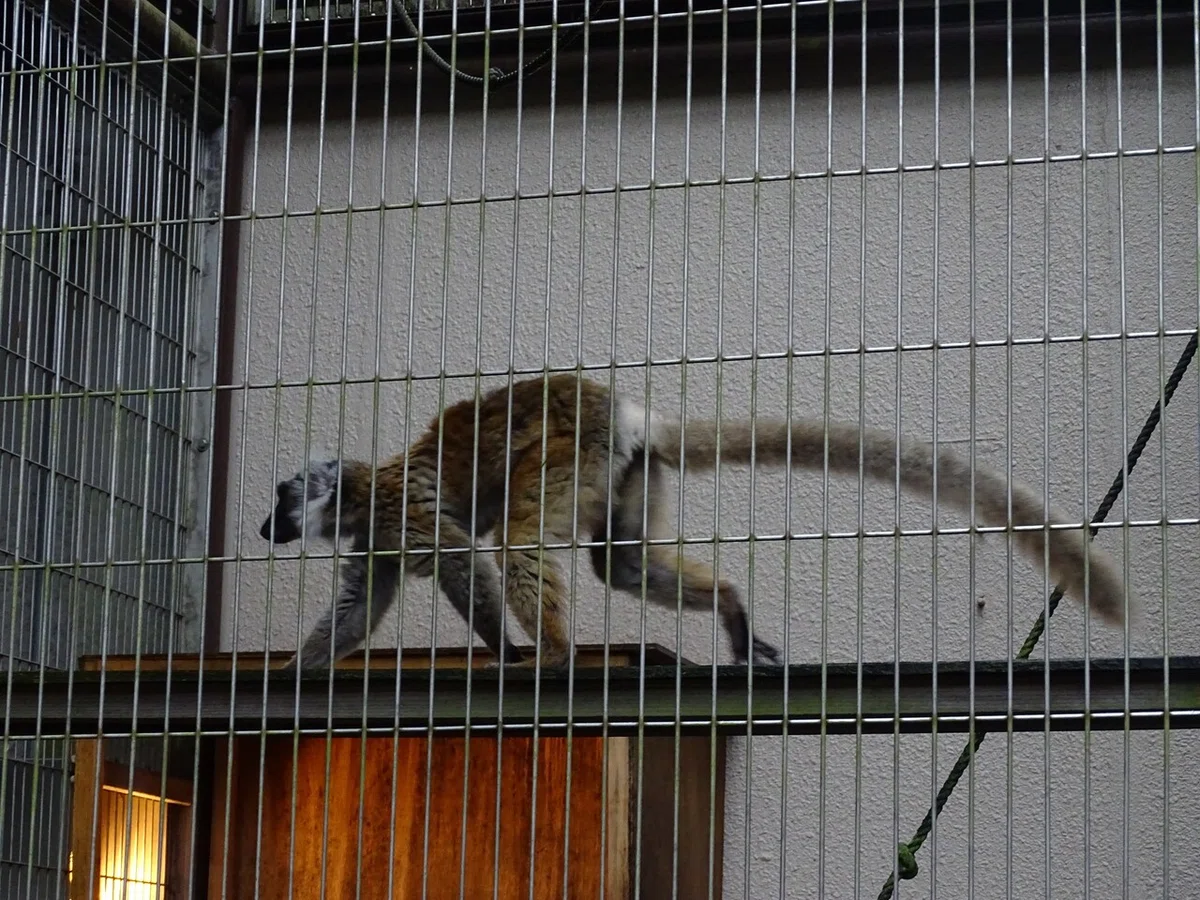 画像127