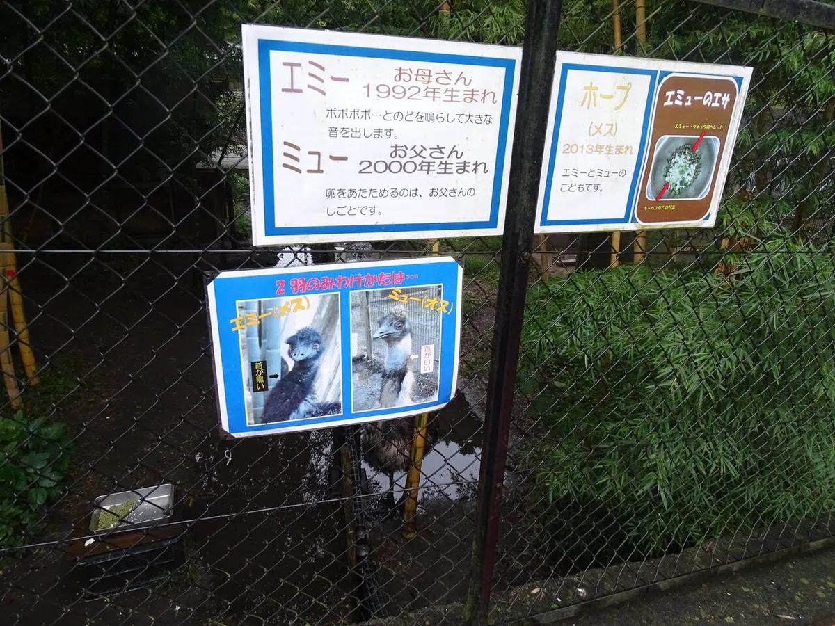 画像144