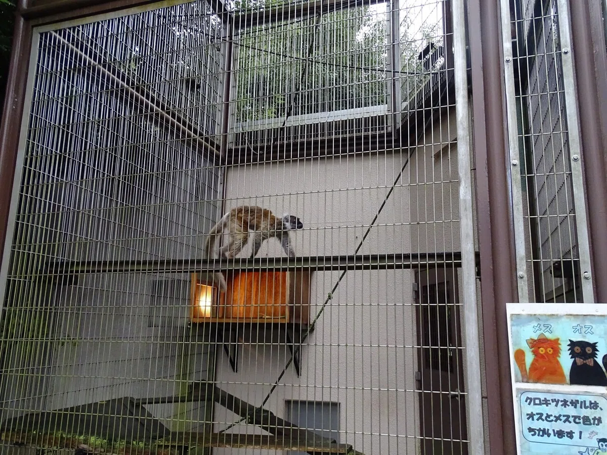 画像125