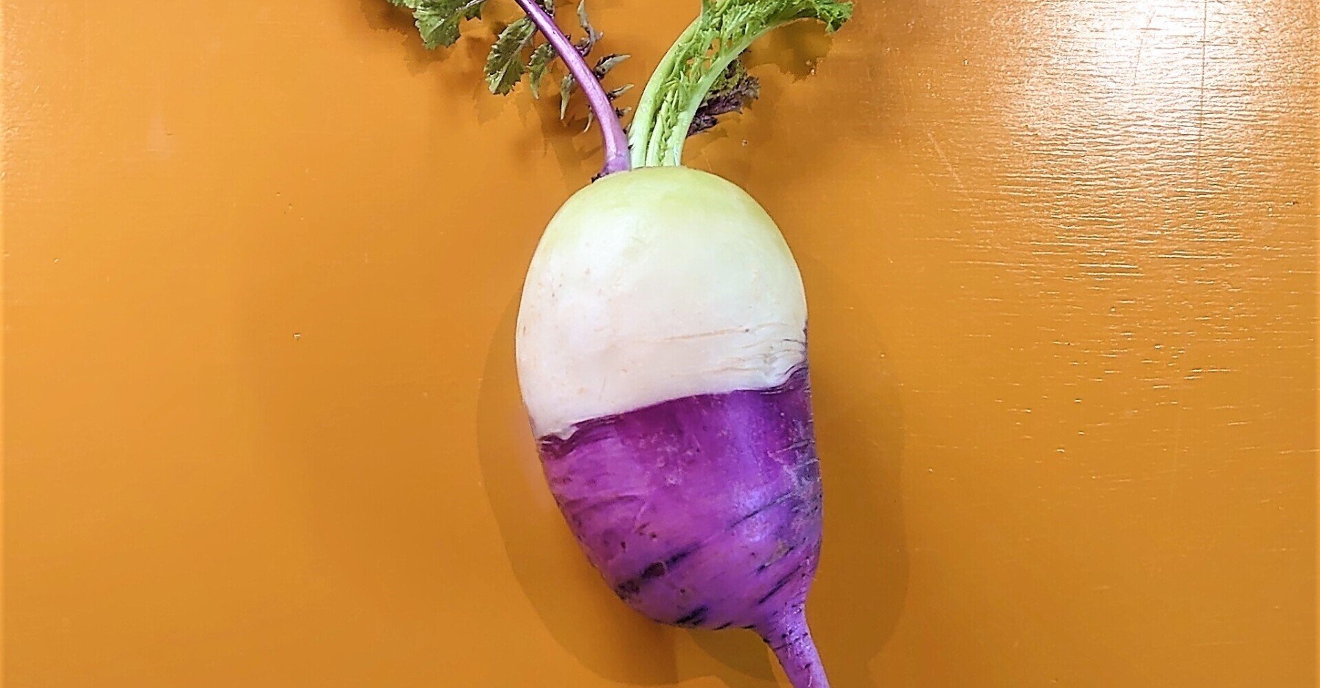 野菜アートvol 9 合成写真 三浦雅之 みうら まさゆき Note 野菜アートvol 9 合成写真 三浦雅之 みうら まさゆき Note